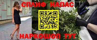 прущие грибы Партизанск