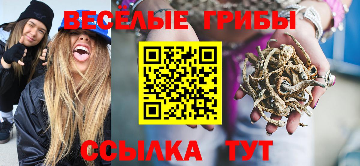 Саяногорск  Псилоцибиновые грибы ЛСД  Вход с VPN  Галлюциногенные грибы Psilocybe 