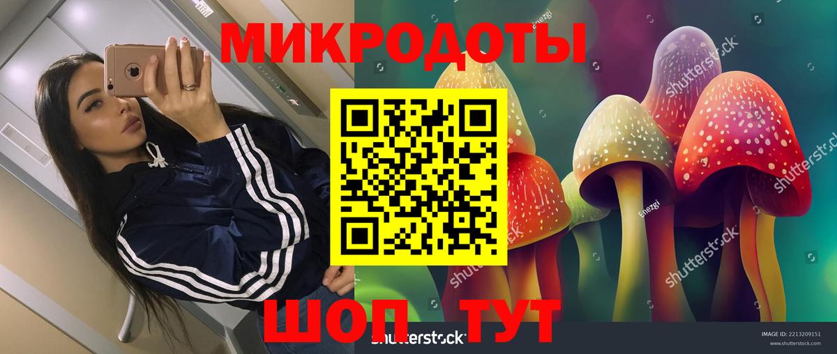 Псилоцибиновые грибы Magic Shrooms Саяногорск